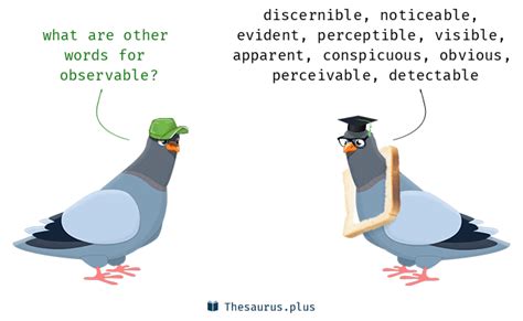 What is the synonym of observable