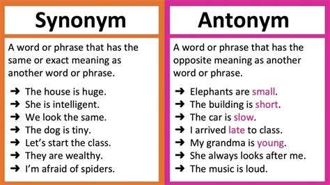 What is the synonym of selection