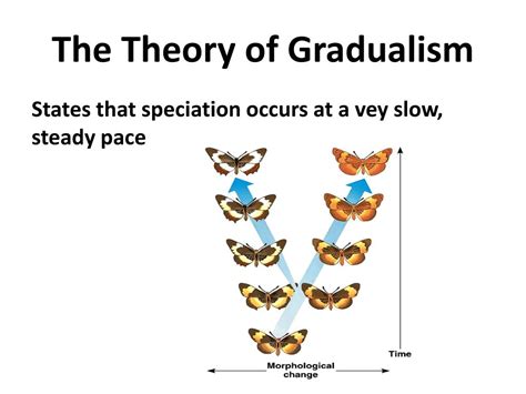 What is the theory of gradualism