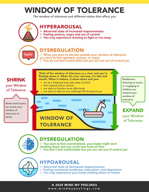 What is the window of tolerance