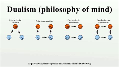 What is theory of dualism