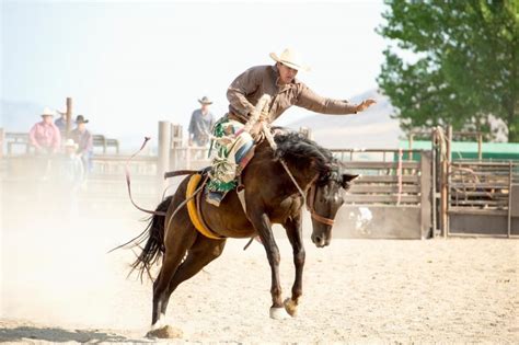 What is there to do in Alvarado