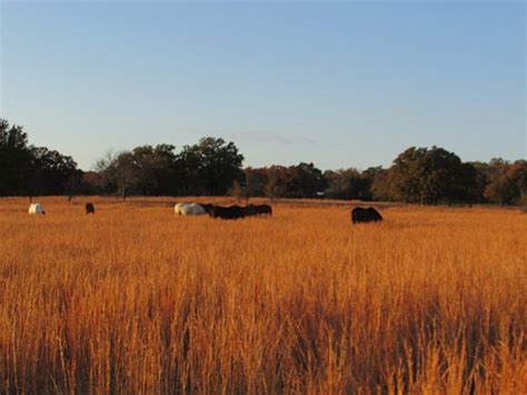 What is there to do in Coalgate Oklahoma