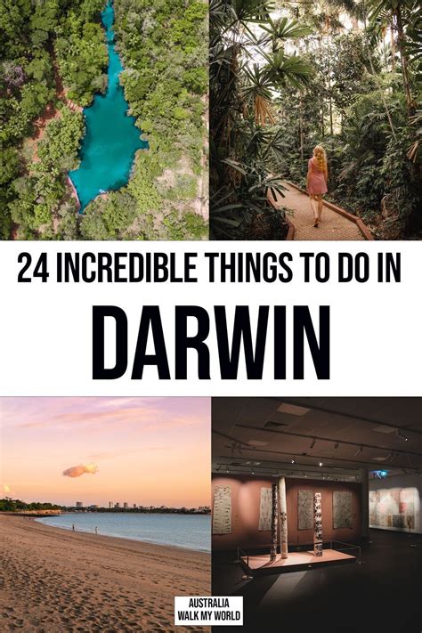 What is there to do in Darwin today
