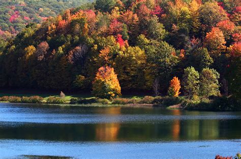 What is there to do in Elizabethville PA