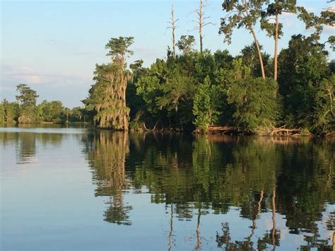 What is there to do in Moss Bluff Louisiana