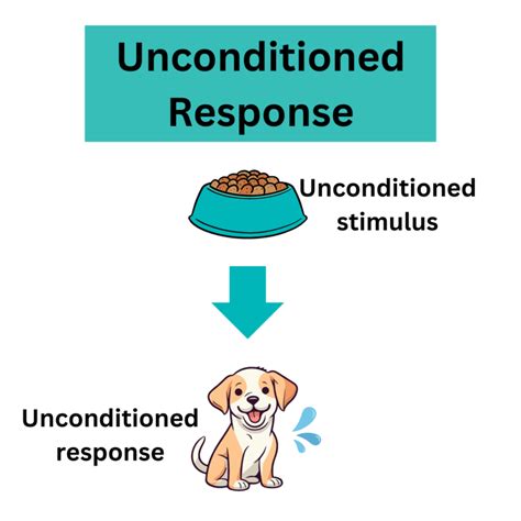 What is unconditioned response example