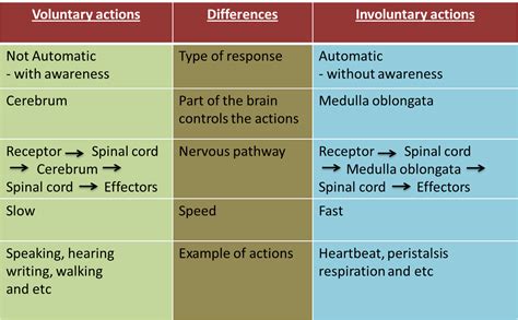 What is voluntary action and examples