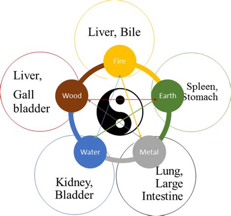 What is yin yang theory
