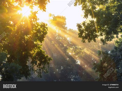 What it means to be bright