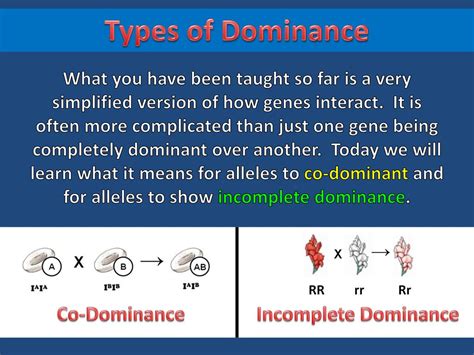 What it means to be dominant