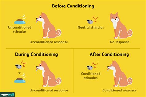 What s an example of classical conditioning