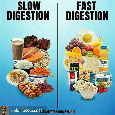 What should I eat if my digestive system is slow