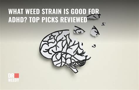 What strains are good for ADHD