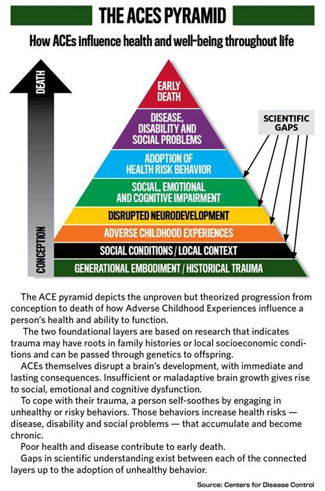 What three types of trauma does the ACE score test