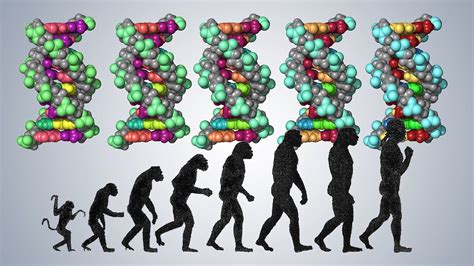What traits are unique to humans