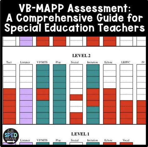 What type of assessment is the VB MAPP