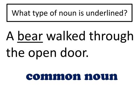 What type of noun is underlined