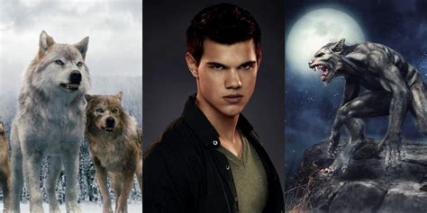 What type of werewolf is Jacob in Twilight