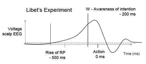 What was the Libet experiment