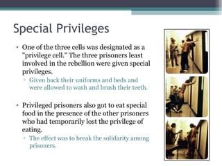 What was the privilege cell in the Stanford Prison Experiment