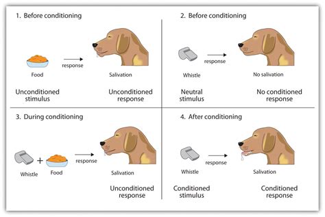 Whats an example of classical conditioning