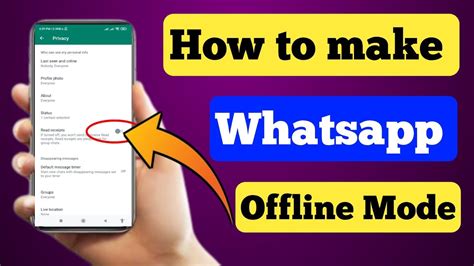 WhatsApp Offline