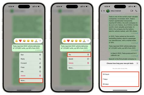 WhatsApp Pinned Messages