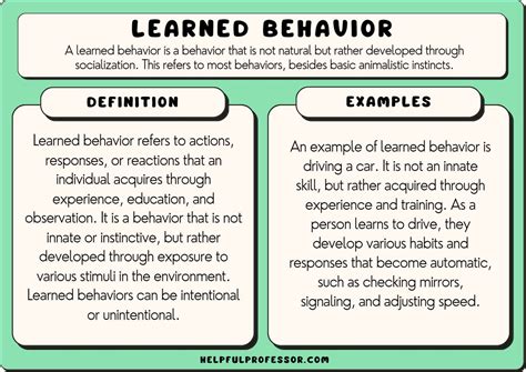 When a behavior is learned after seeing another person perform the behavior