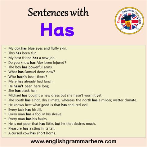 When we use has in a sentence