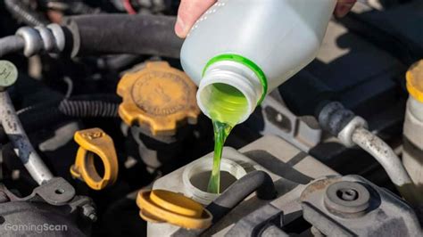 Where To Put Antifreeze In Car