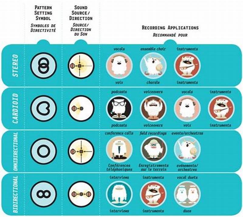 Which Blue Yeti Pattern To Use