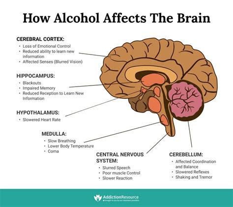 Which function does alcohol impair First