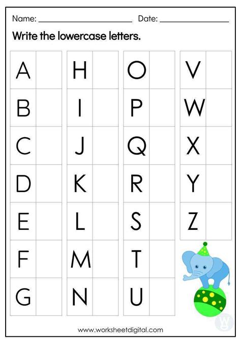 Which is correct lowercase or lower case