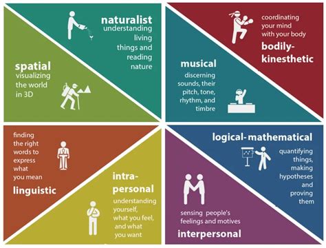 Which is true about Gardners theory of multiple intelligence