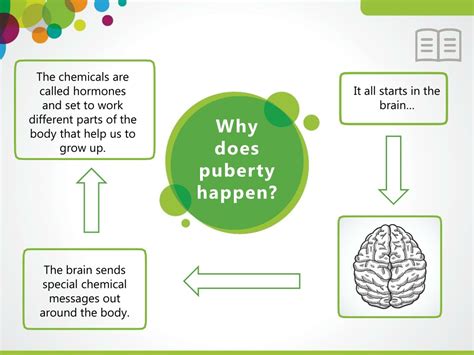 Why does puberty happen