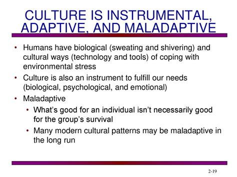 Why is culture maladaptive