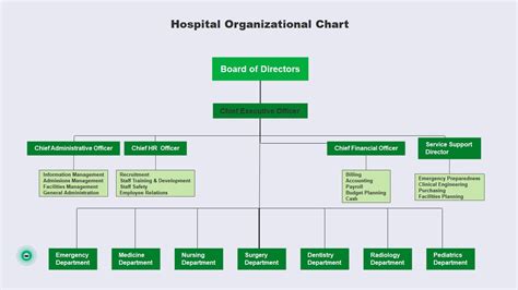 Why is hierarchy important in healthcare
