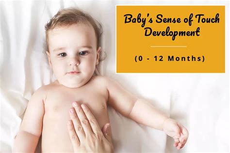 Why is touch first sense to develop