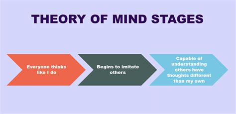 Why theory of mind is important