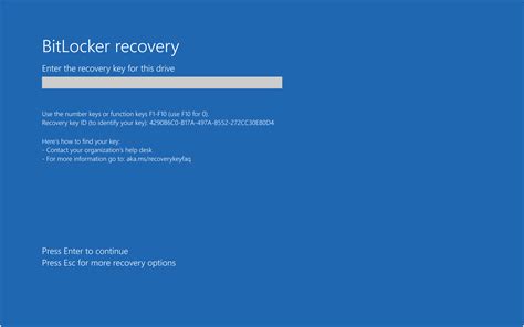 Windows 10 BitLocker Recovery screen