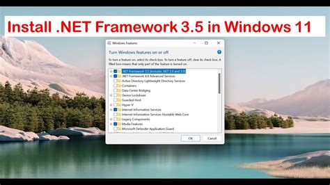 Windows 11 .NET Framework