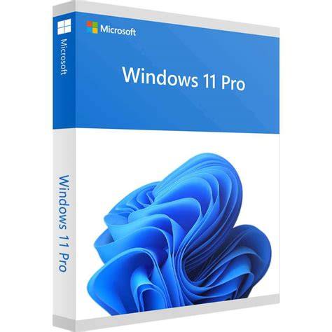 Windows 11 10 Pro Upgrade Blocked