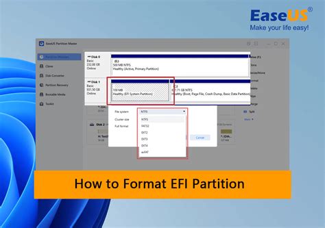 Windows 11 EFI Requirement