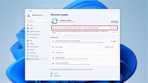 Windows 11 24H2 Installation Issues