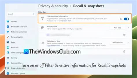 Windows 11 Recall Filter Sensitive Information