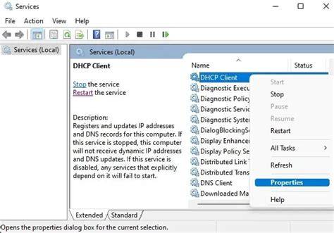 Windows DHCP Client Issues