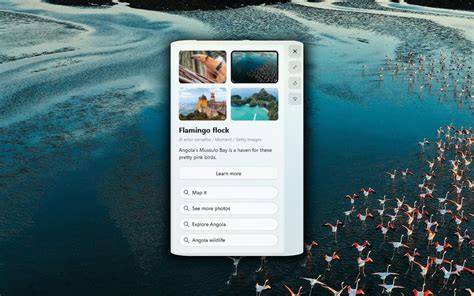 Windows Spotlight Tool interface