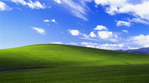 Windows XP Bliss Wallpaper