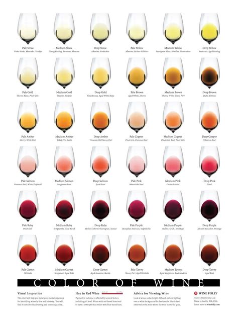 Wine Color Chart